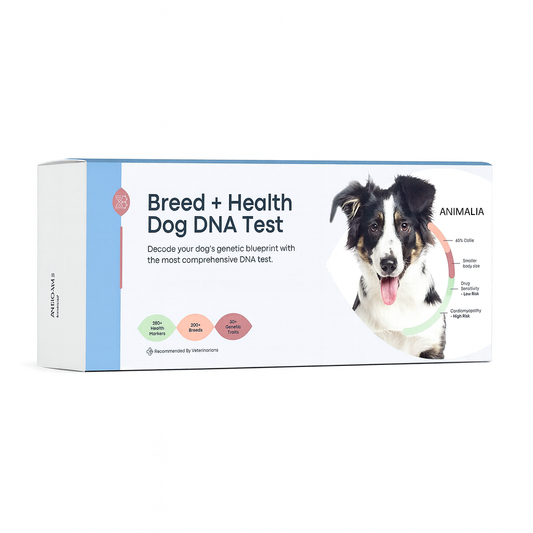 Test de ADN para perros (Raza + Salud)
